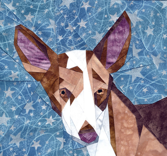 Ibizan Hound Portrait