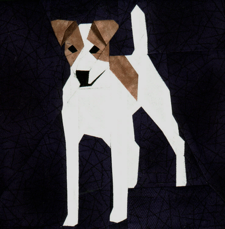 Jack Russel Terrier