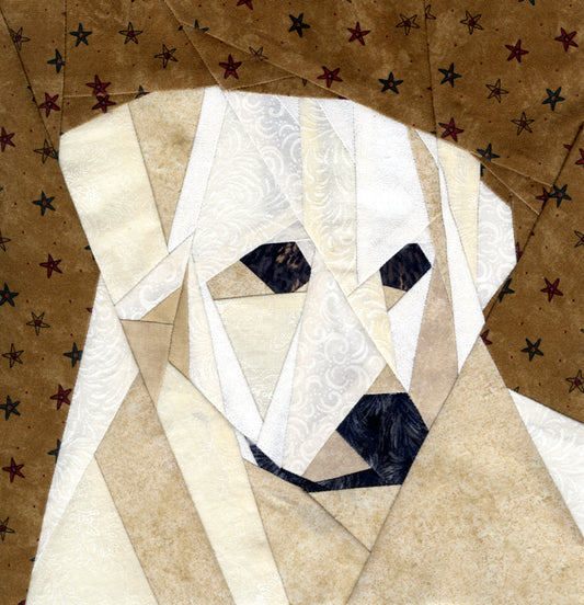 Kuvasz Portrait