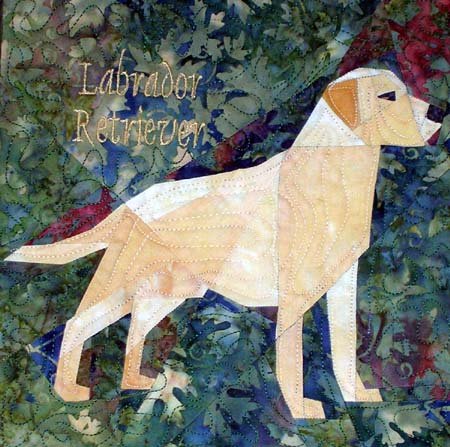 Labrador Retriever