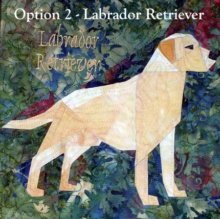 Beginners Starter Kit