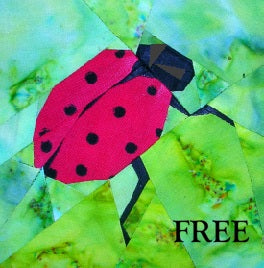 Beginners Starter Kit