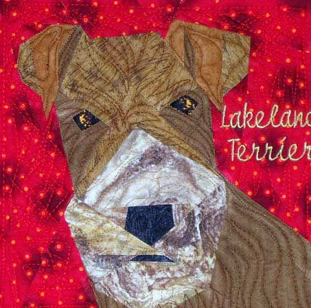 Lakeland Terrier Portrait