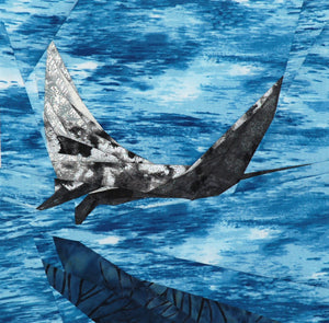 Manta Ray