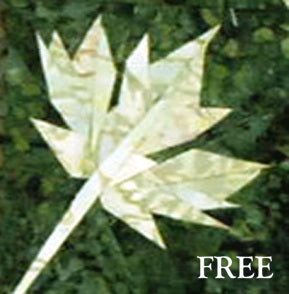 Beginners Starter Kit