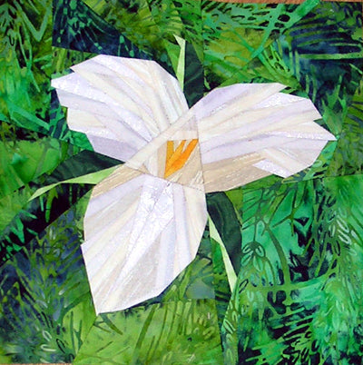 Trillium