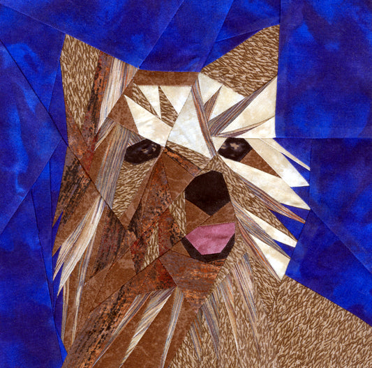 Norwich Terrier Portrait