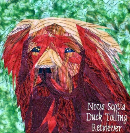 Nova Scotia Duck Tolling Retriever