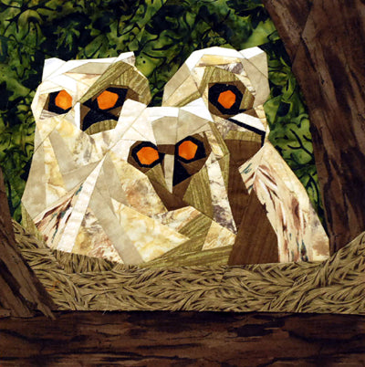 Owlets
