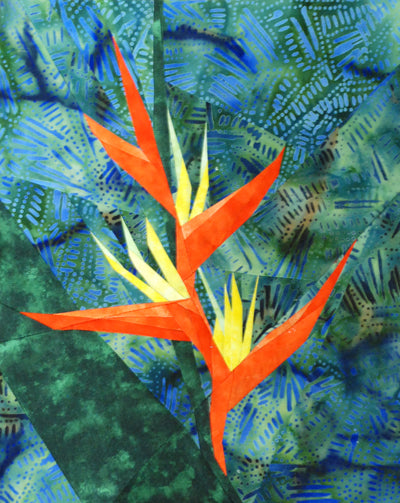 Parrot's Beak Heliconia