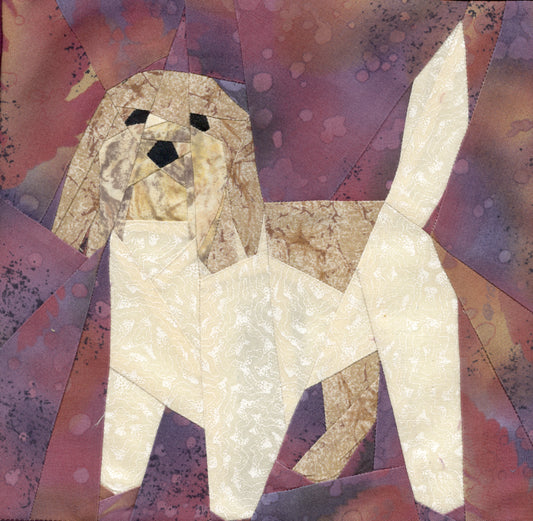 Petit Basset Griffon Vendeen