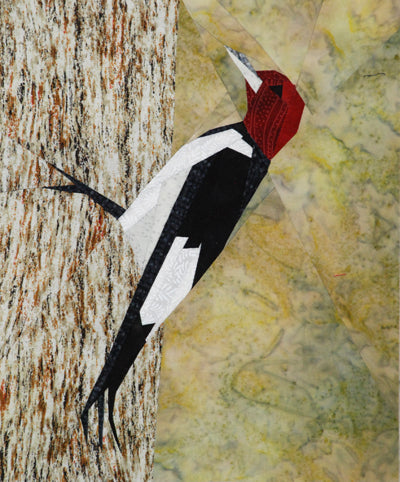 Redheaded Woodpecker