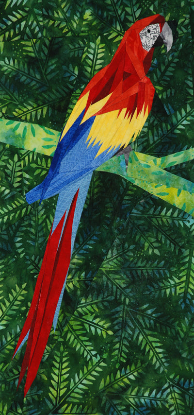 Red Macaw