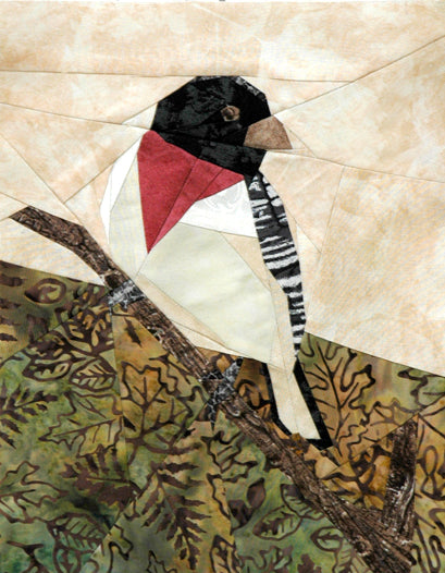 Rose Breasted Grosbeak