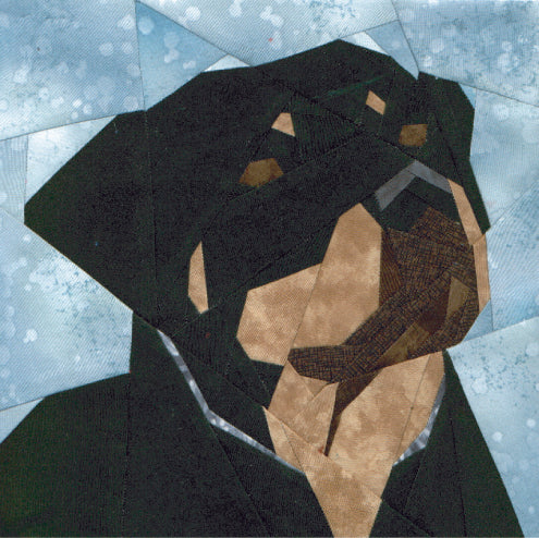 Rottweiler Portrait