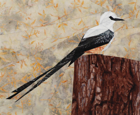 Scissortail Flycatcher