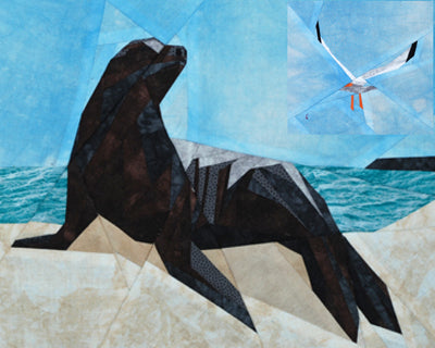 Sea Lion on the Sand