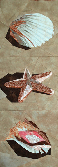 Sea Shells in the Sand