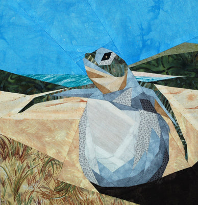 Sea Turtle Hatchling