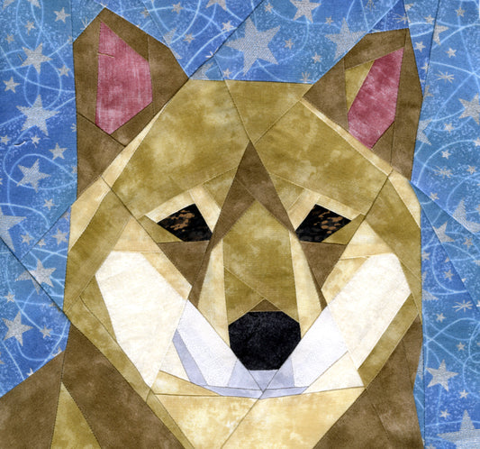 Shiba Inu Portrait
