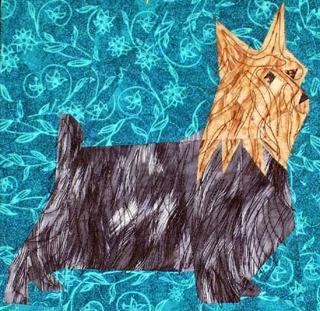 Silky Terrier
