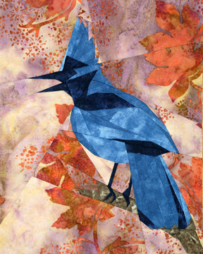 Stellar's Jay
