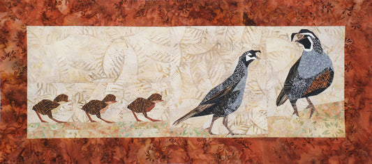 Strolling at Lake Havasu