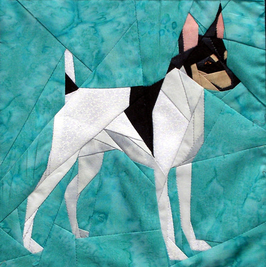 Toy Fox Terrier