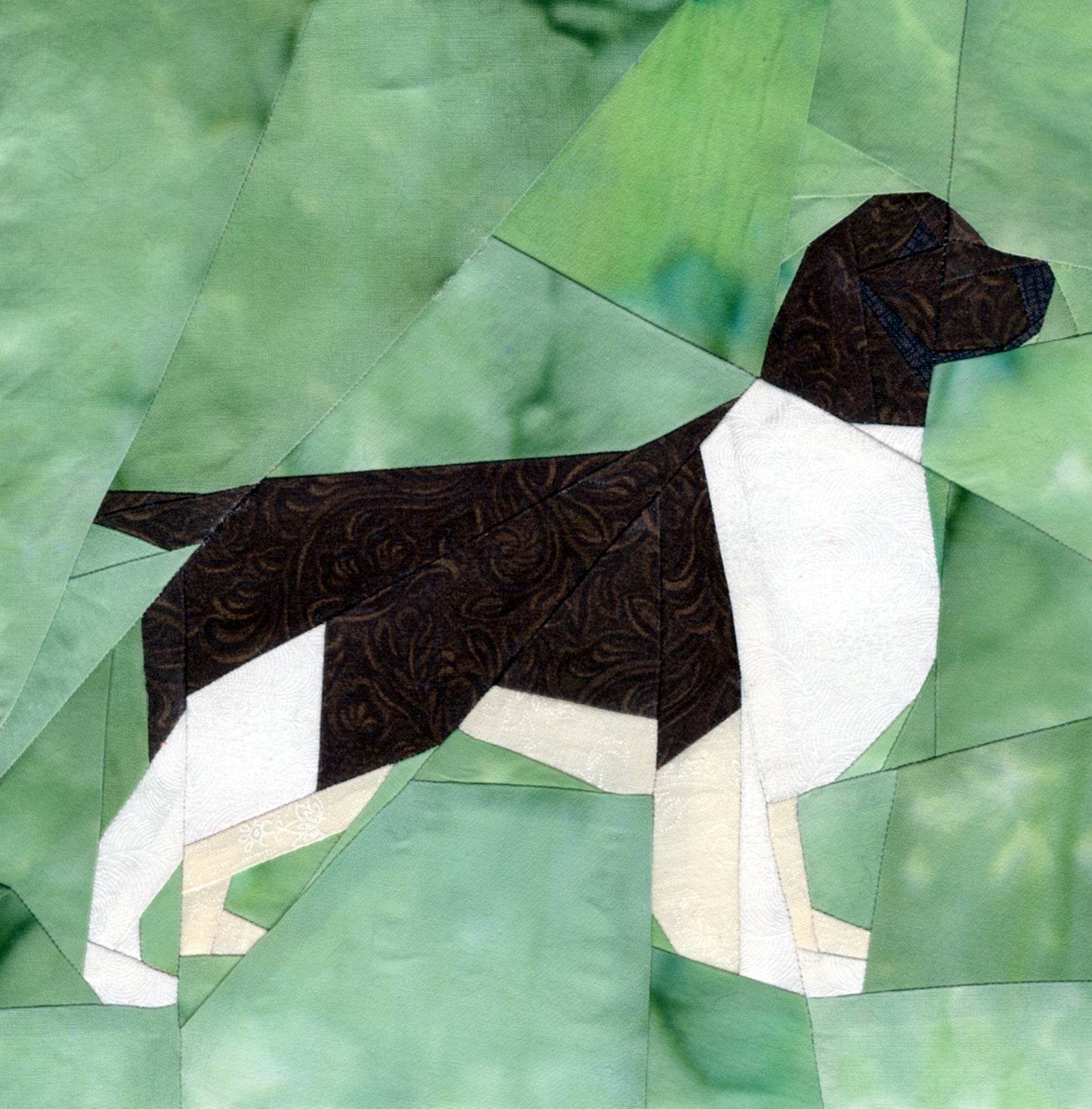 Welsh Springer Spaniel