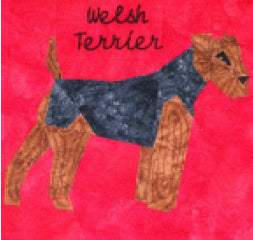 Welsh Terrier
