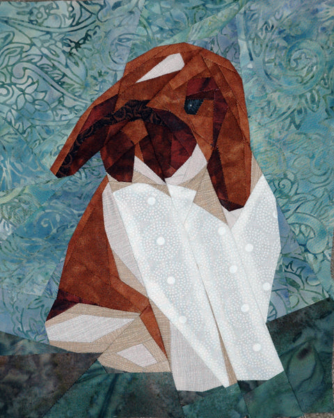 What's Up Holland Lop