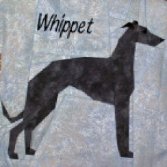 Whippet