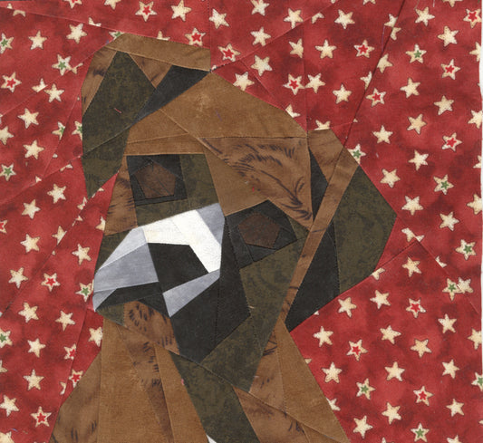 Young Boxer Portrait