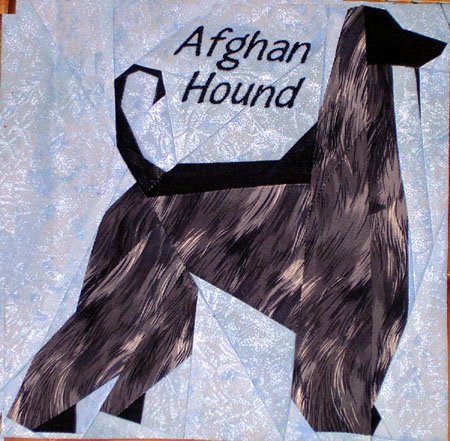 Afghan Hound