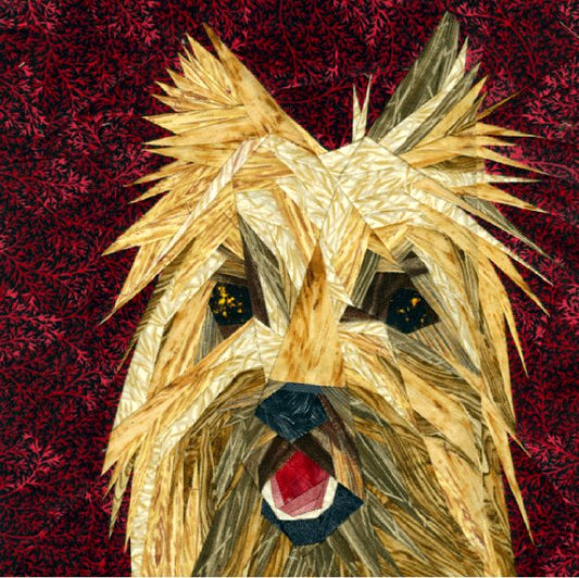 Cairn Terrier Portrait