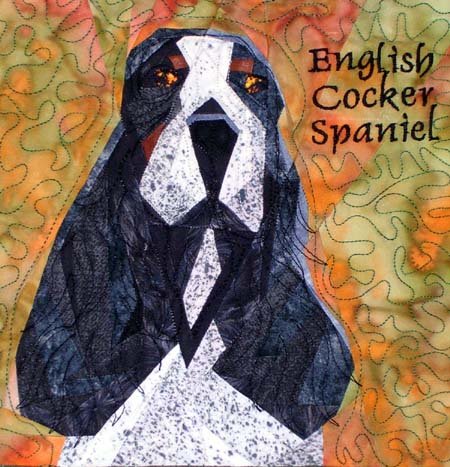 English Cocker Spaniel Tri-Color