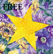 Beginners Starter Kit