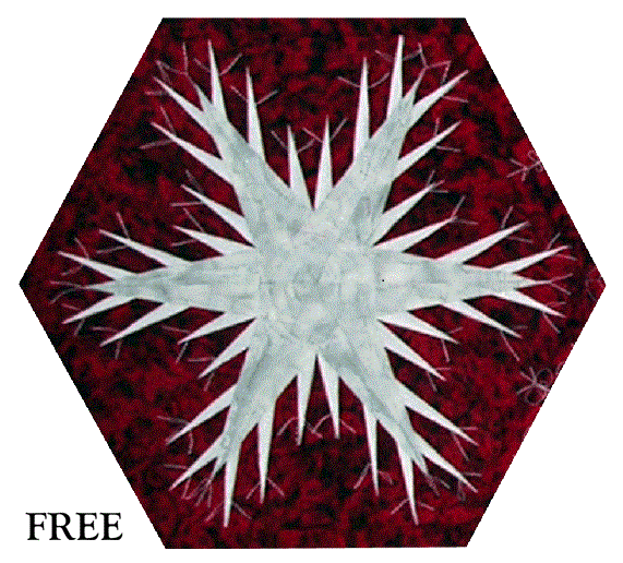 Beginners Starter Kit